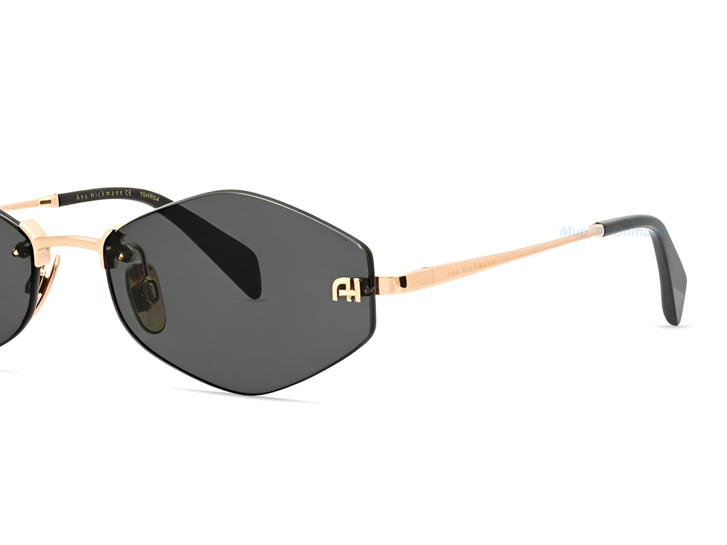 Ana Hickmann AH3306 04D