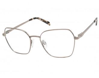 Glory Glory 804 marrone