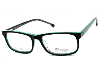DAVID BECKHAM BANISS BSJ6078 C01
