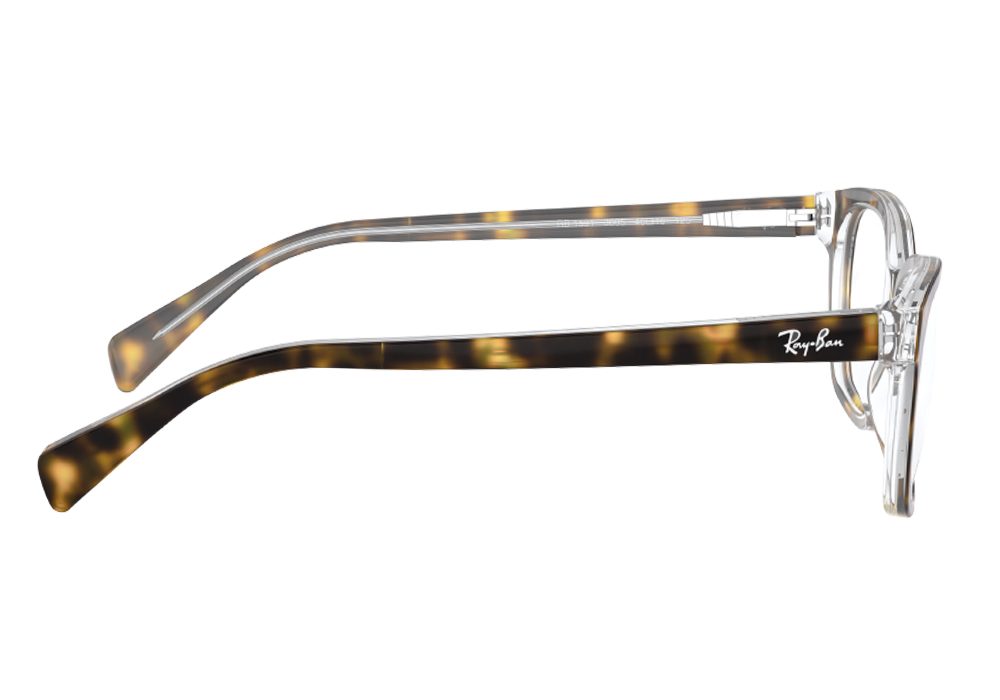 Оправа для очков Ray Ban RB 1591 3805