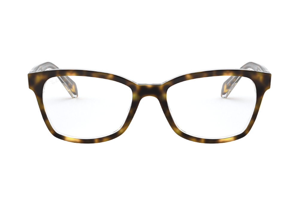Оправа для очков Ray Ban RB 1591 3805