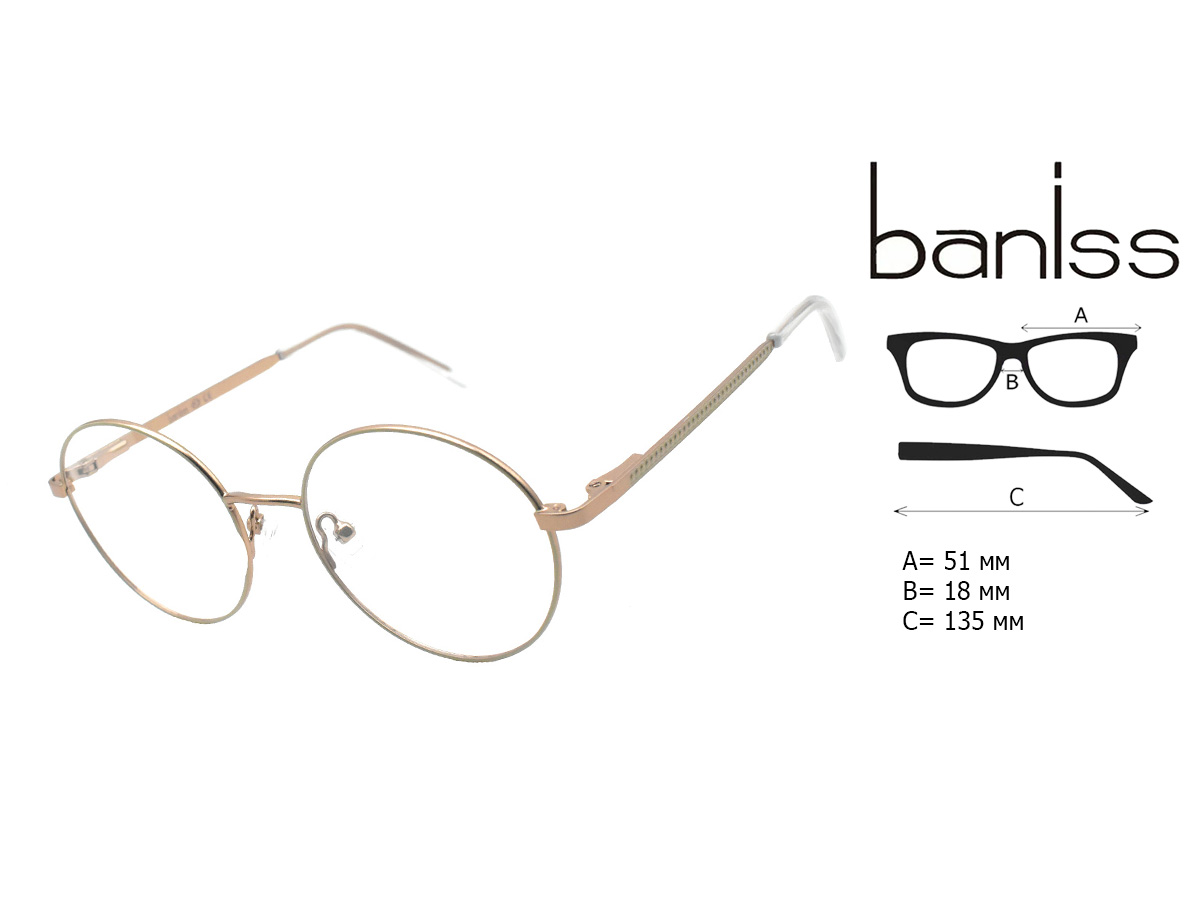 Оправа для очков BANISS BR5081 C02