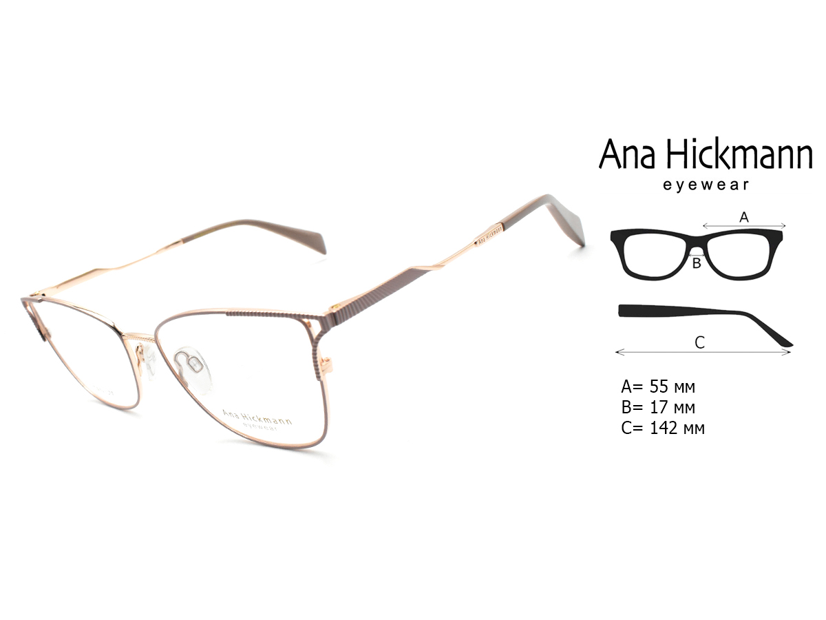Оправа для очков Ana Hickmann AH1509T 05B